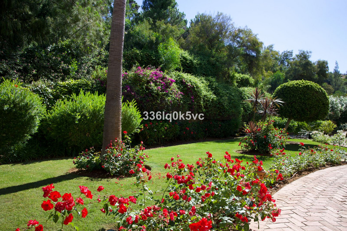 2 bedroom Apartments for sale in Los Arqueros – R5389096 2 bedroom Apartments for sale in Los Arqueros – R5389096