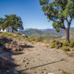 Parcelas en venta en La Zagaleta – R4140700 Parcelas en venta en La Zagaleta – R4140700