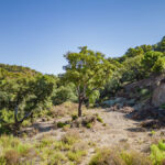 Parcelas en venta en La Zagaleta – R4140700 Parcelas en venta en La Zagaleta – R4140700