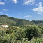 Plots for sale in Benahav�s – R5007472 Plots for sale in Benahav�s – R5007472