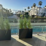 2 bedroom Apartments for sale in Atalaya – R5366218 2 bedroom Apartments for sale in Atalaya – R5366218