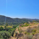 Parcelas en venta en Benahavís – R4953970 Parcelas en venta en Benahavís – R4953970