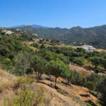 Parcelas en venta en Benahavís – R4953970 Parcelas en venta en Benahavís – R4953970