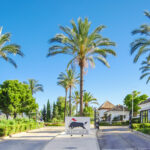 Plots for sale in Benahav�s – R5304814 Plots for sale in Benahav�s – R5304814