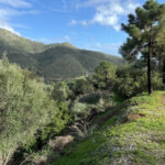 Plots for sale in Benahav�s – R5304814 Plots for sale in Benahav�s – R5304814