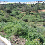Parcelas en venta en La Mairena – R127293 Parcelas en venta en La Mairena – R127293