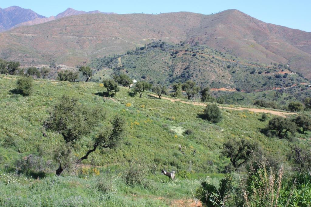 Parcelas en venta en La Mairena – R127293 Parcelas en venta en La Mairena – R127293