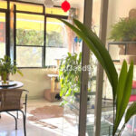 Apartamentos de 3 dormitorios en venta en Puerto Ban�s – R5296786 Apartamentos de 3 dormitorios en venta en Puerto Ban�s – R5296786