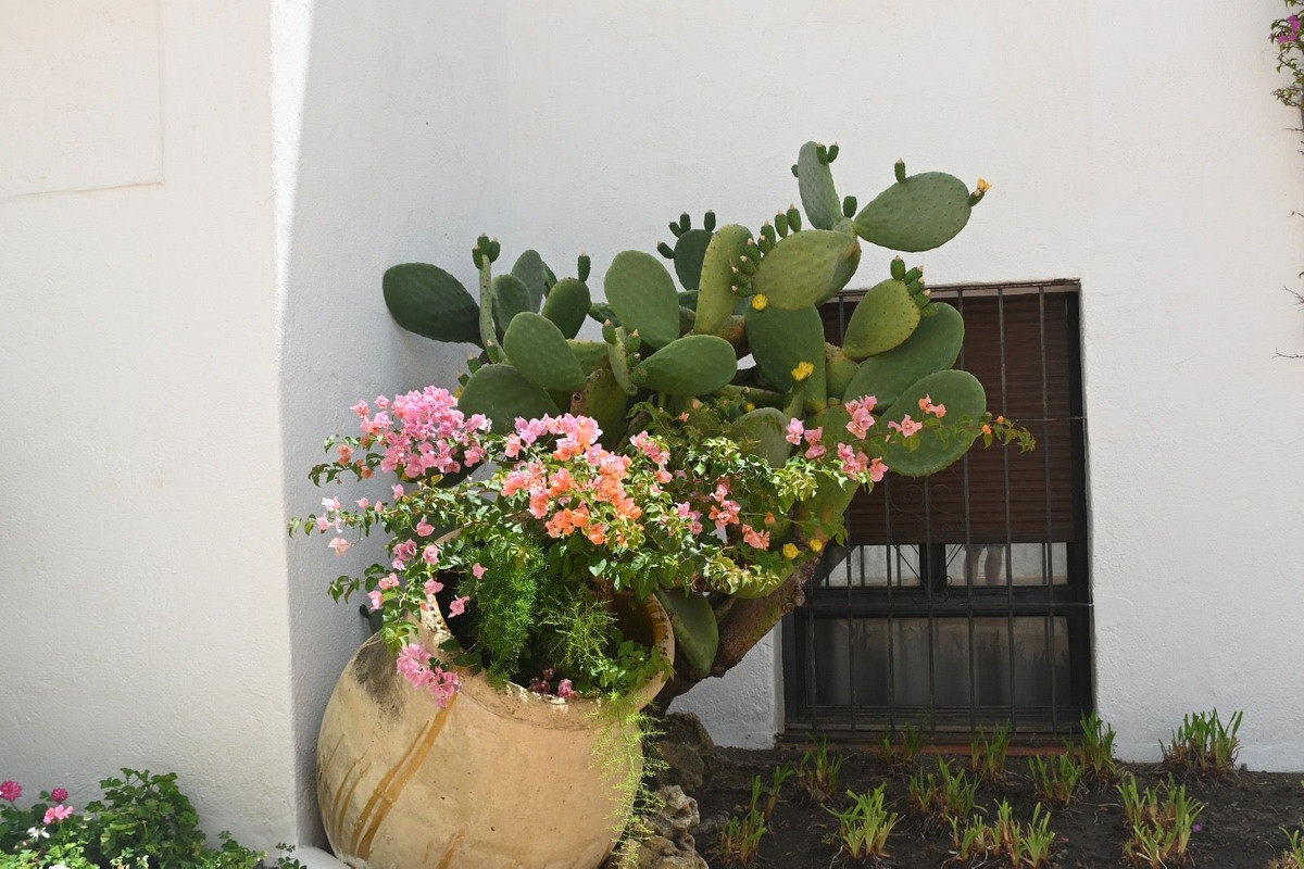 Apartamentos de 2 dormitorios en venta en Nueva Andaluc�a – R5315641 Apartamentos de 2 dormitorios en venta en Nueva Andaluc�a – R5315641