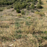 Parcelas en venta en Guadalmina Alta – R5250586 Parcelas en venta en Guadalmina Alta – R5250586