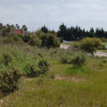 Parcelas en venta en Milla de Oro – R4853152