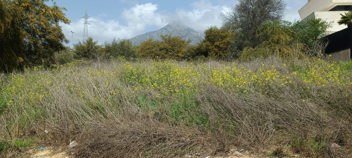 Parcelas en venta en Milla de Oro – R4853152 Parcelas en venta en Milla de Oro – R4853152