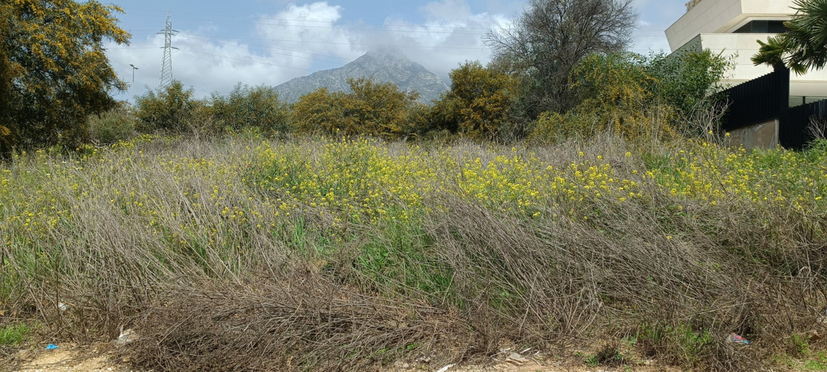 Parcelas en venta en Milla de Oro – R4853152