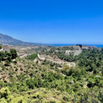 Plots for sale in El Madroñal – R5023939 Plots for sale in El Madroñal – R5023939