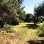 Plots for sale in Hacienda Las Chapas – R4069777 Plots for sale in Hacienda Las Chapas – R4069777