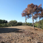 Plots for sale in Hacienda Las Chapas – R4069777 Plots for sale in Hacienda Las Chapas – R4069777
