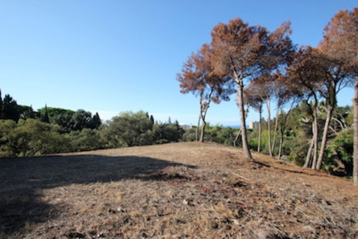 Plots for sale in Hacienda Las Chapas – R4069777 Plots for sale in Hacienda Las Chapas – R4069777