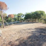 Plots for sale in Hacienda Las Chapas – R4069777 Plots for sale in Hacienda Las Chapas – R4069777