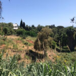 Plots for sale in Hacienda Las Chapas – R4069777 Plots for sale in Hacienda Las Chapas – R4069777