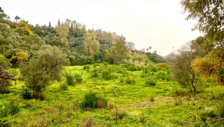 Parcelas en venta en Benahavís – R3805150 Parcelas en venta en Benahavís – R3805150 en