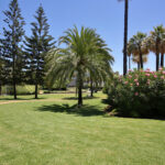 2 bedroom Apartments for sale in Puerto Banús – R5394619 2 bedroom Apartments for sale in Puerto Banús – R5394619