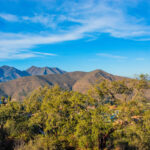 4 bedroom Villas for sale in La Mairena – R4791493 4 bedroom Villas for sale in La Mairena – R4791493