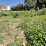 Parcelas de 6 dormitorios en venta en Milla de Oro – R5445013 Parcelas de 6 dormitorios en venta en Milla de Oro – R5445013