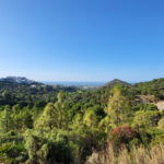 Plots for sale in Benahavís – R4753684 Plots for sale in Benahavís – R4753684