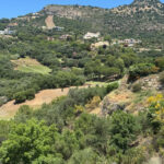 Parcelas en venta en Benahavís – R5421931 Parcelas en venta en Benahavís – R5421931