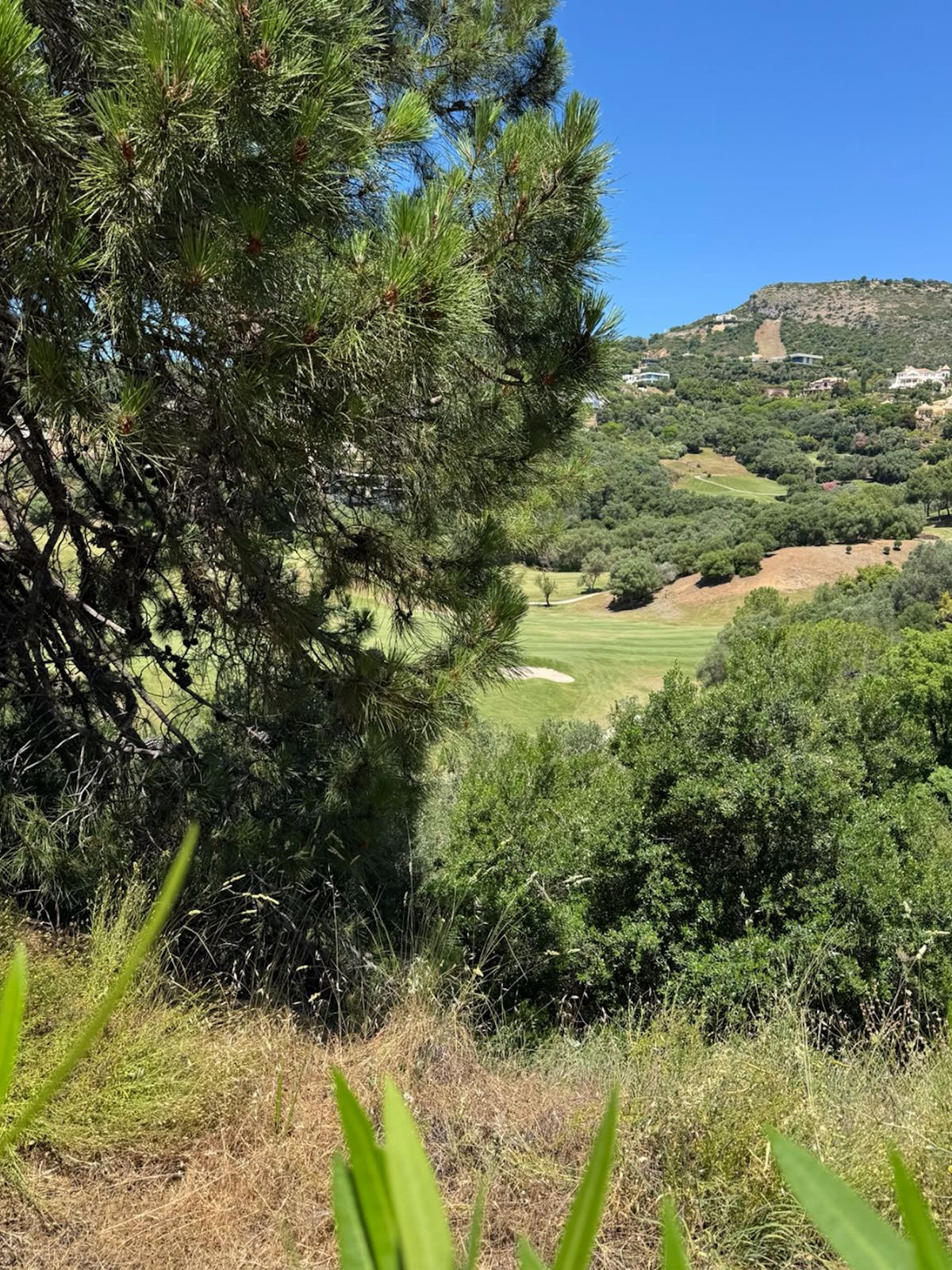 Parcelas en venta en Benahavís – R5421931 Parcelas en venta en Benahavís – R5421931