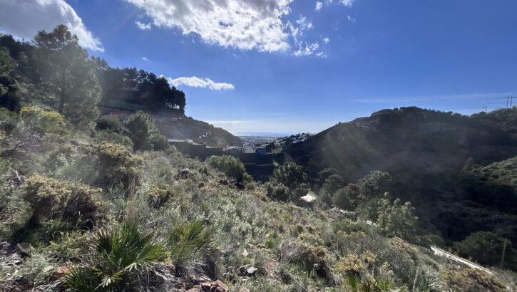 Plots for sale in El Madroñal – R5431321 Plots for sale in El Madroñal – R5431321 in