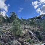 Plots for sale in El Madroñal – R5431321 Plots for sale in El Madroñal – R5431321