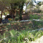 Parcelas en venta en Marbella – R4365562 Parcelas en venta en Marbella – R4365562
