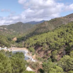 Parcelas en venta en Benahavís – R4300495 Parcelas en venta en Benahavís – R4300495