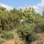 Parcelas en venta en Benahavís – R5310508 Parcelas en venta en Benahavís – R5310508