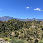 Plots for sale in Selwo – R4258564 Plots for sale in Selwo – R4258564