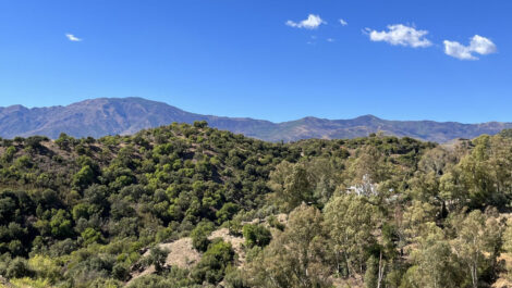 Parcelas en venta en Selwo – R4258564