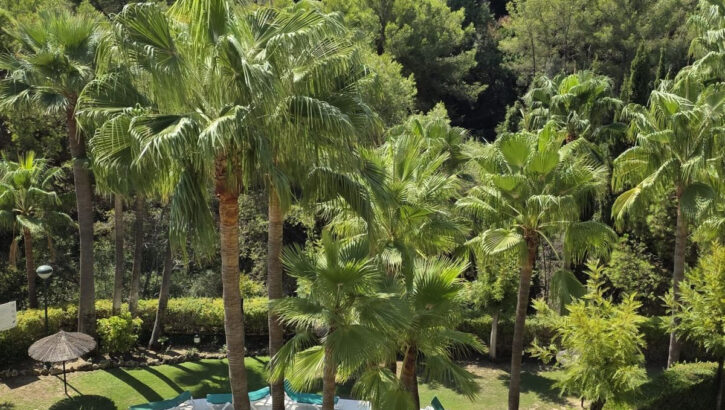 3 bedroom Apartments for sale in Sierra Blanca – R5258773 3 bedroom Apartments for sale in Sierra Blanca – R5258773 in