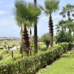 2 bedroom Apartments for sale in Los Flamingos – R5423794 2 bedroom Apartments for sale in Los Flamingos – R5423794