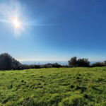 Plots for sale in Marbella – R5306926 Plots for sale in Marbella – R5306926