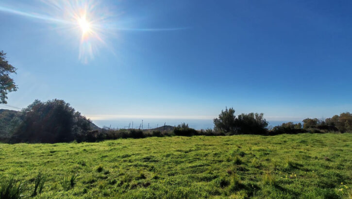 Plots for sale in Marbella – R5306926 Plots for sale in Marbella – R5306926 in