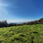 Plots for sale in Marbella – R5306926 Plots for sale in Marbella – R5306926