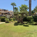 2 bedroom Penthouses for sale in Puerto Banús – R5461543 2 bedroom Penthouses for sale in Puerto Banús – R5461543