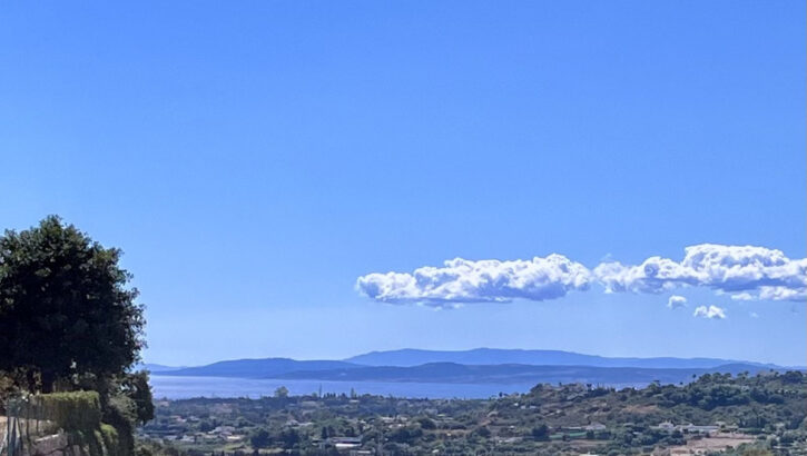 Plots for sale in Nueva Milla de Oro – R4258576 Plots for sale in Nueva Milla de Oro – R4258576 in