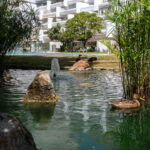 1 bedroom Apartments for sale in Milla de Oro – R5427682 1 bedroom Apartments for sale in Milla de Oro – R5427682