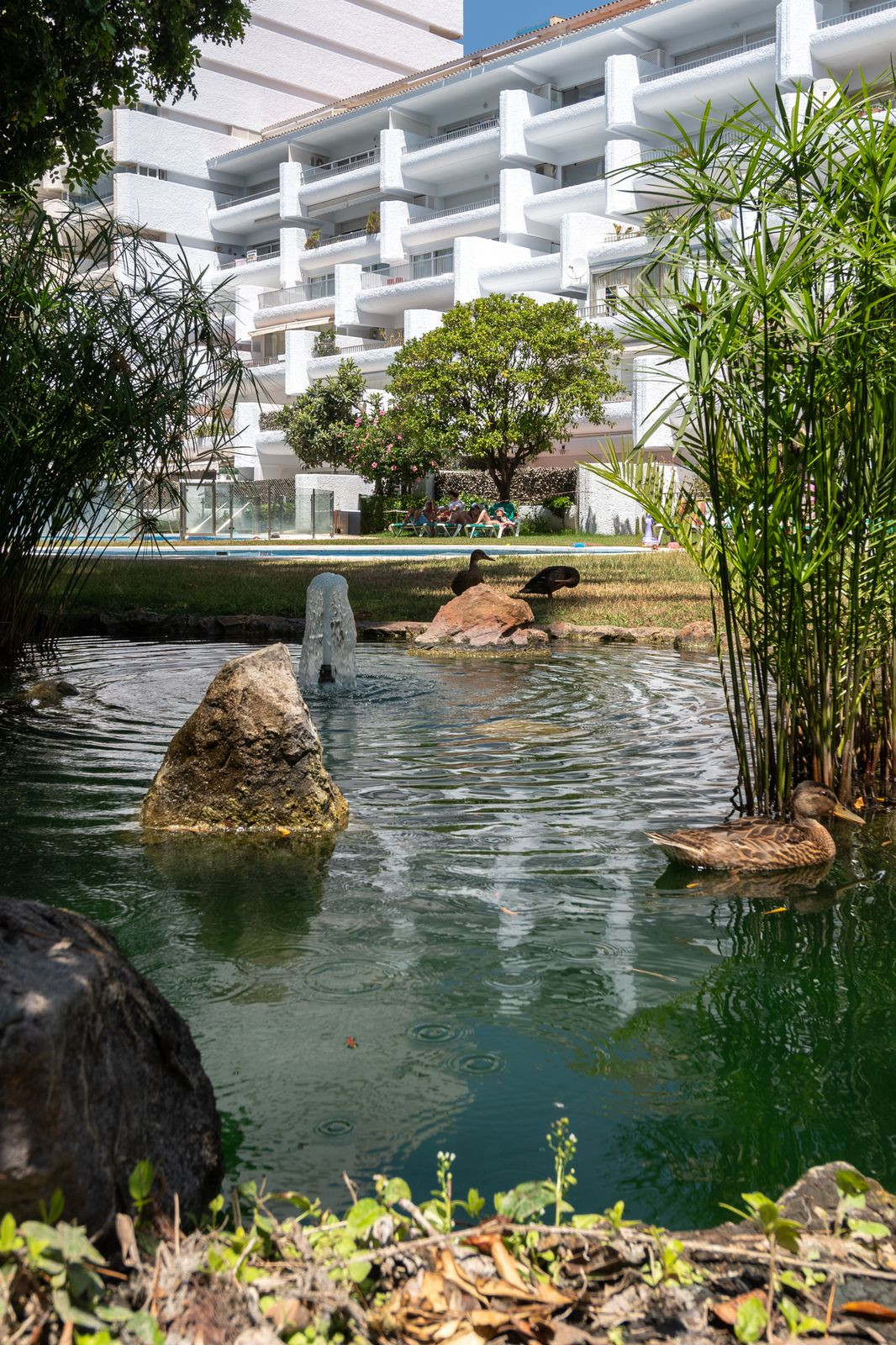 1 bedroom Apartments for sale in Milla de Oro – R5427682 1 bedroom Apartments for sale in Milla de Oro – R5427682