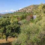 Parcelas en venta en Benahavís – R5310508 Parcelas en venta en Benahavís – R5310508