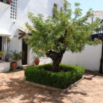 Apartamentos de 3 dormitorios en venta en Marbella – R5419507 Apartamentos de 3 dormitorios en venta en Marbella – R5419507