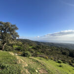 Plots for sale in La Mairena – R4856002 Plots for sale in La Mairena – R4856002