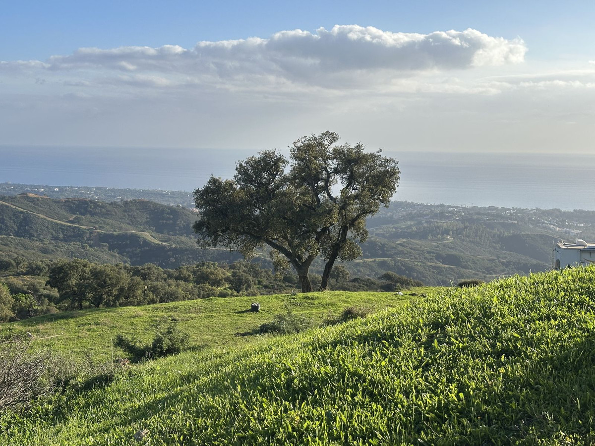 Plots for sale in La Mairena – R4856002 Plots for sale in La Mairena – R4856002